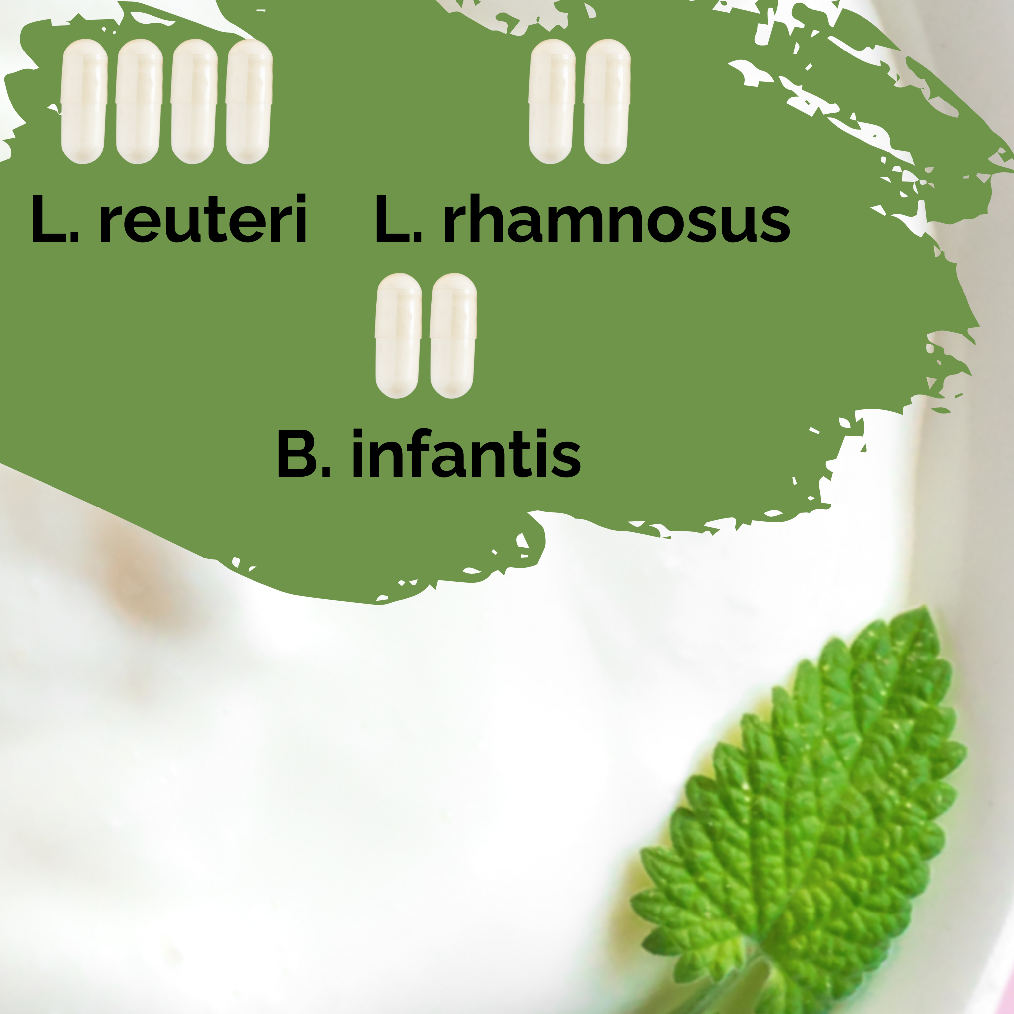 L. reuteri + L. rhamnosus + B. infantis | Ensemble de démarrage pour yaourt | HappyGut | Cultures de démarrage | Lot de 3