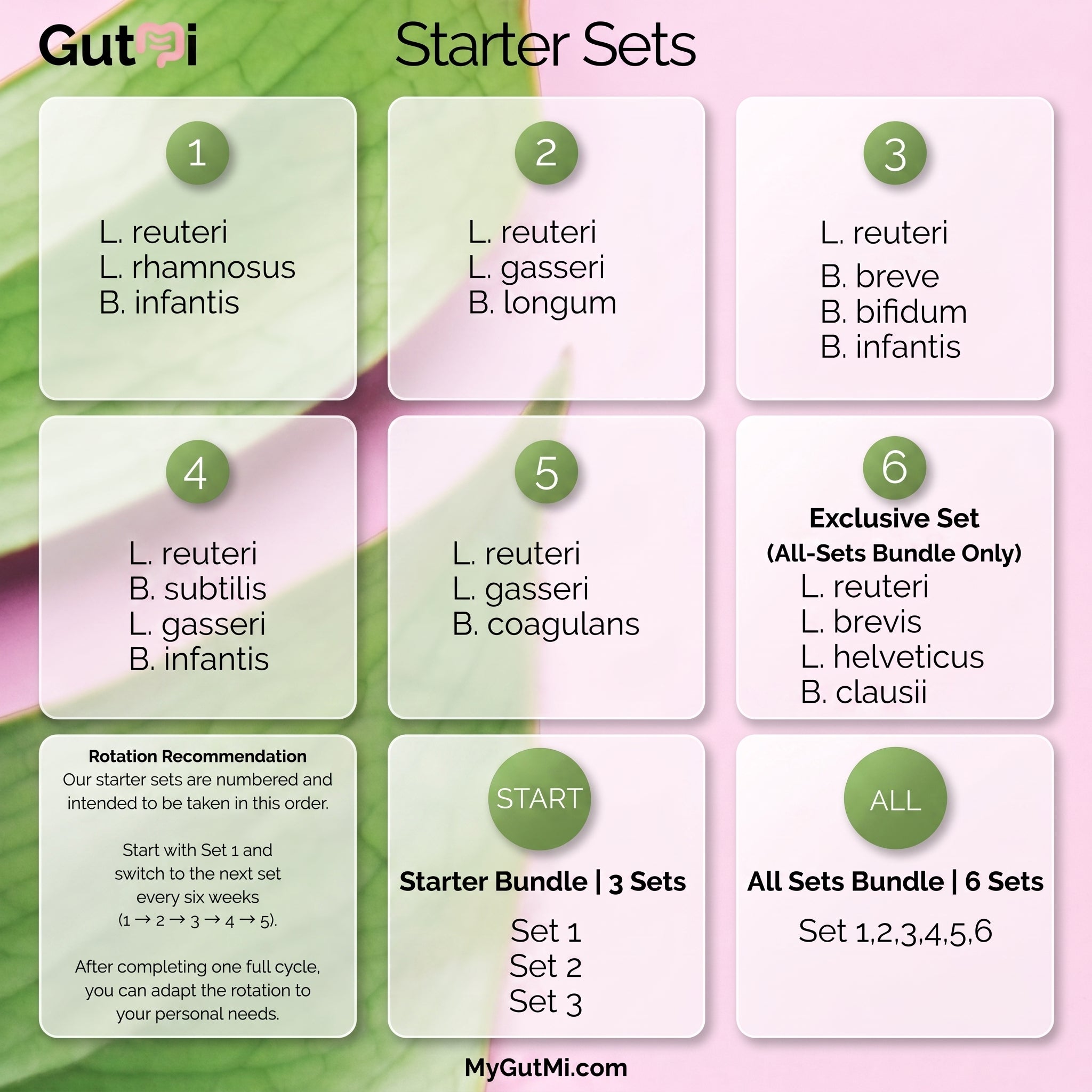 L. reuteri + B. coagulans + L. gasseri | SIBO | Yogurt Starter Set | Starter Cultures | 3 Yogurt Starters