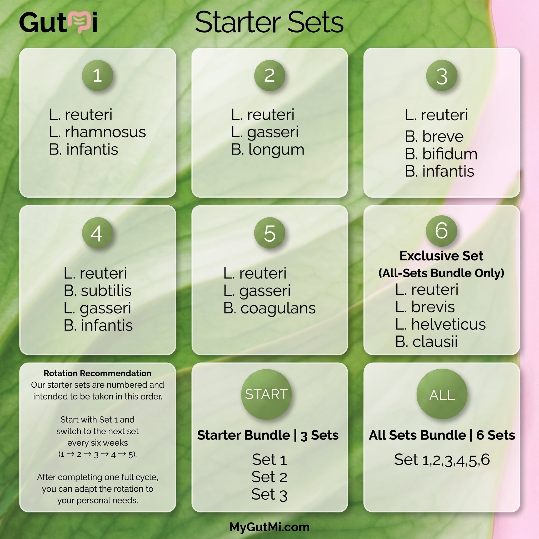 L. reuteri + B. coagulans + L. gasseri | SIBO | Yogurt Starter Set | Starter Cultures | 3 Yogurt Starters