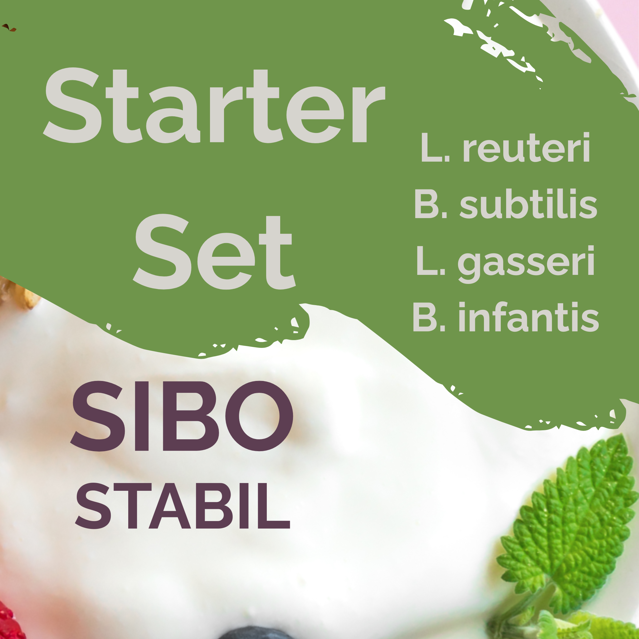 L. reuteri + L. gasseri + B. infantis + B. subtilis | Ensemble de démarrage pour yaourt | SIBOStable | Cultures de démarrage | Pack de 3